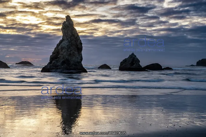 : USA, Oregon, Bandon Beach. Pacific Ocean sea stacks : USA, Oregon, Bandon Beach. Pacific Ocean sea stacks