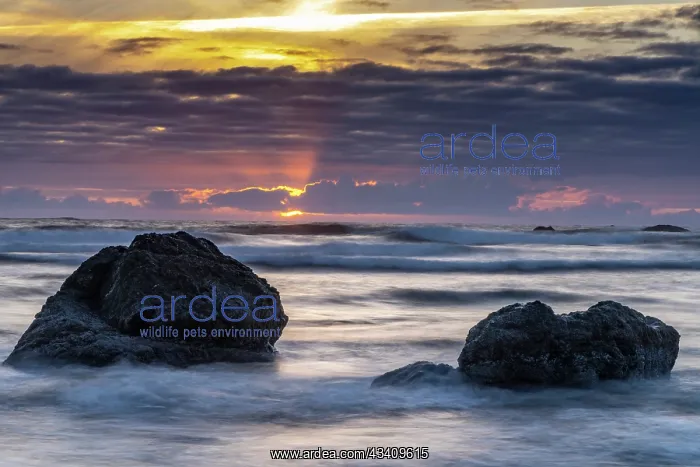 : USA, Oregon, Bandon Beach. Pacific Ocean shoreline : USA, Oregon, Bandon Beach. Pacific Ocean shoreline
