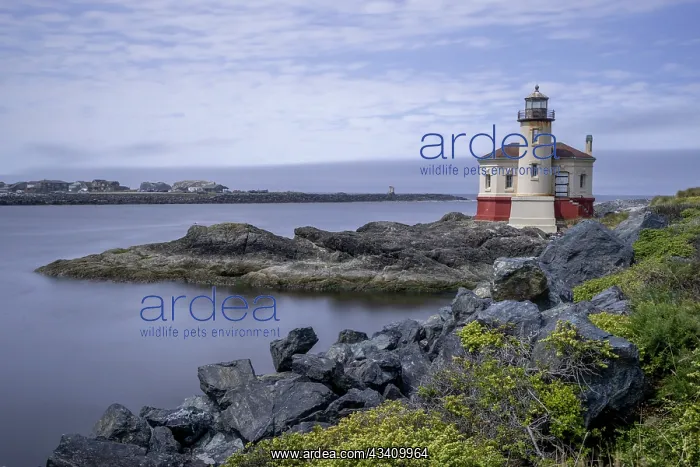 : Usa, Oregon, Bandon. Coquille River Lighthouse : Usa, Oregon, Bandon. Coquille River Lighthouse