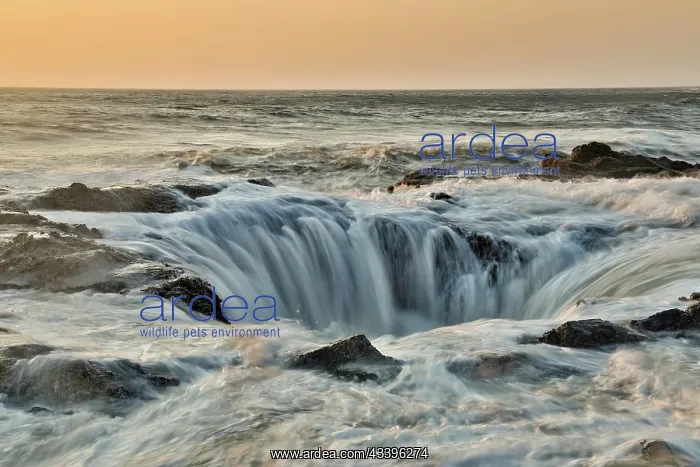 : USA, Oregon, Cape Perpetua and Thor's Well at sunset : USA, Oregon, Cape Perpetua and Thor's Well at sunset