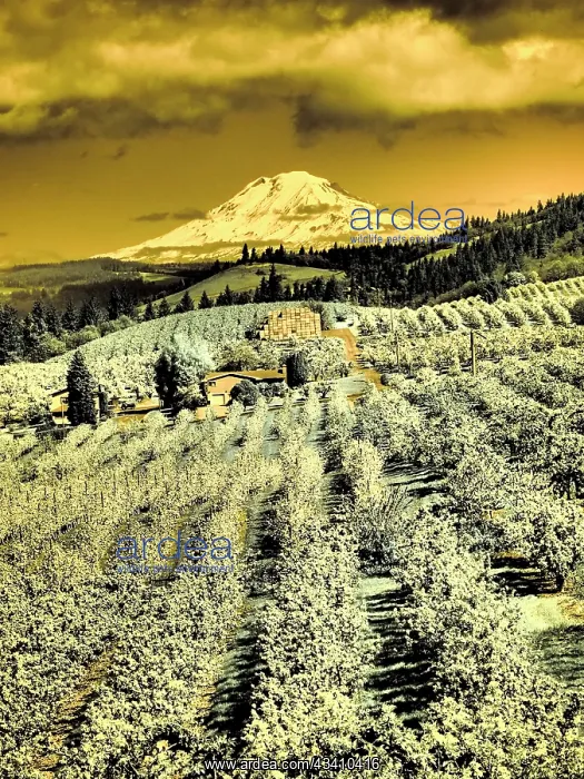 : USA, Oregon, Columbia Gorge. Infrared of Spring : USA, Oregon, Columbia Gorge. Infrared of Spring