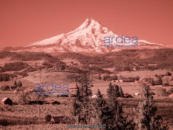 : USA, Oregon, Columbia Gorge. Infrared of spring : USA, Oregon, Columbia Gorge. Infrared of spring