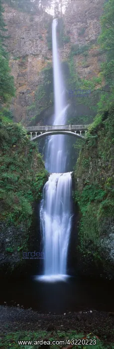 : USA, Oregon, Columbia River George, View : USA, Oregon, Columbia River George, View