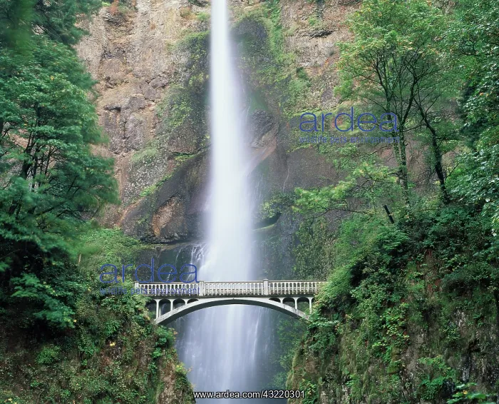 : USA, Oregon, Columbia River Gorge, Bridge : USA, Oregon, Columbia River Gorge, Bridge