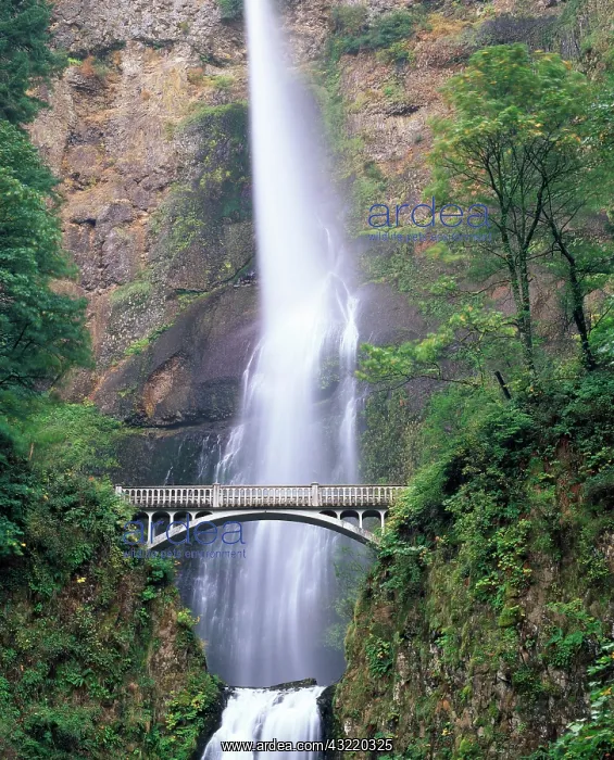 : USA, Oregon, Columbia River Gorge, Bridge : USA, Oregon, Columbia River Gorge, Bridge
