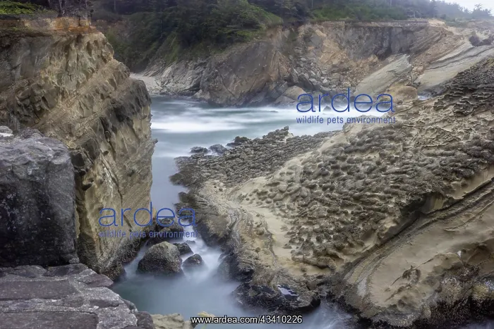 : Usa, Oregon, Coos Bay. Shore Acres State Park and the Coast : Usa, Oregon, Coos Bay. Shore Acres State Park and the Coast