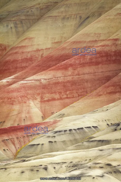 : USA, Oregon, John Day Fossil Beds National Monument : USA, Oregon, John Day Fossil Beds National Monument