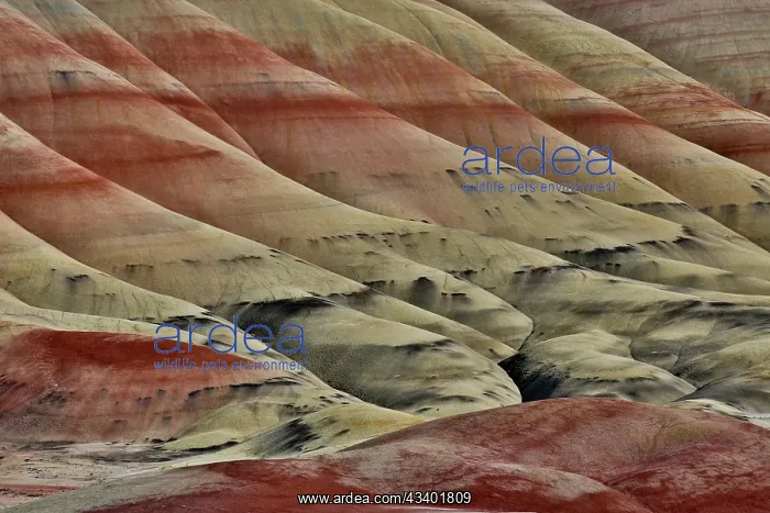 : USA, Oregon. John Day Fossil Beds National Monument : USA, Oregon. John Day Fossil Beds National Monument