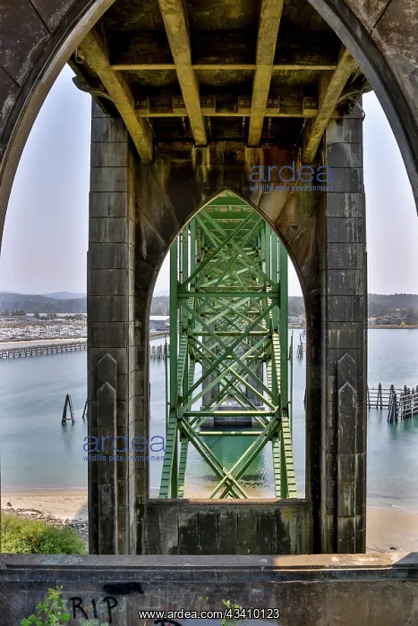  : Usa, Oregon, Newport. Yaquina Bay Bridge