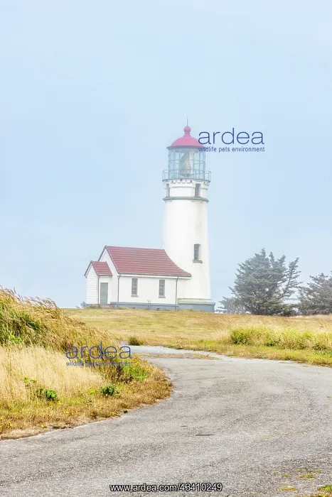 : Usa, Oregon, Port Orford. Cape Blanco Lighthouse : Usa, Oregon, Port Orford. Cape Blanco Lighthouse