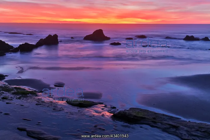 : USA, Oregon. Seal Rock State Recreation Site sunset : USA, Oregon. Seal Rock State Recreation Site sunset