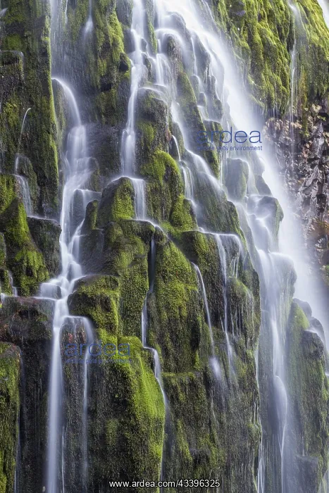 : USA, Oregon, Three Sisters Wilderness Area. Lower : USA, Oregon, Three Sisters Wilderness Area. Lower