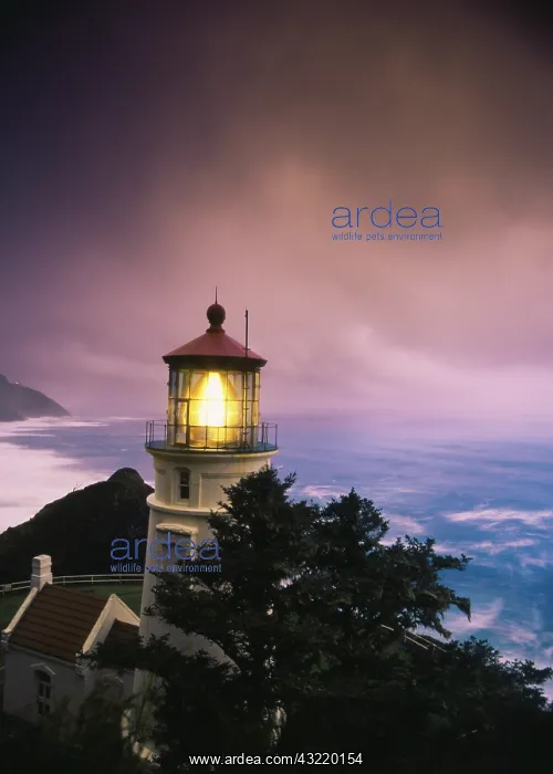 : USA, Oregon, View of Heceta Head Lighthouse : USA, Oregon, View of Heceta Head Lighthouse