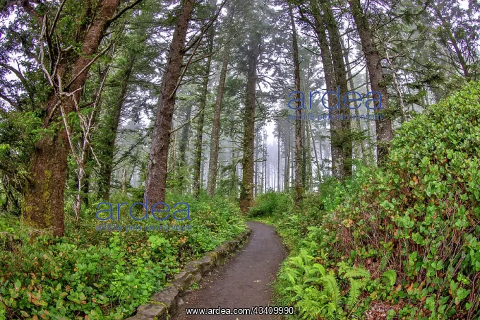 : Usa, Oregon, Yachats. Cape Perpetua : Usa, Oregon, Yachats. Cape Perpetua