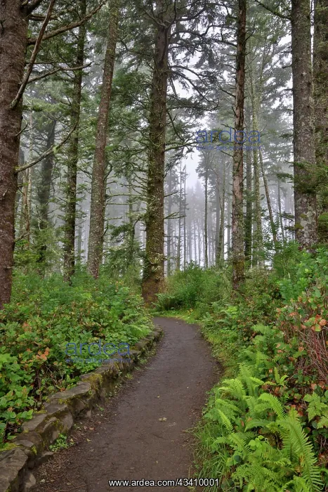 : Usa, Oregon, Yachats. Cape Perpetua : Usa, Oregon, Yachats. Cape Perpetua