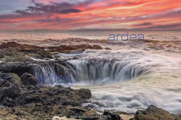  : Usa, Oregon, Yachats. Thor's Well, Waves Crashing