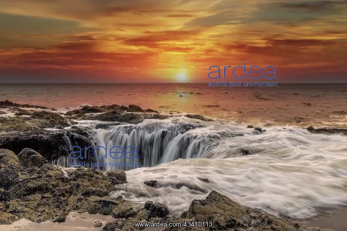 : Usa, Oregon, Yachats. Thor's Well, Waves Crashing : Usa, Oregon, Yachats. Thor's Well, Waves Crashing
