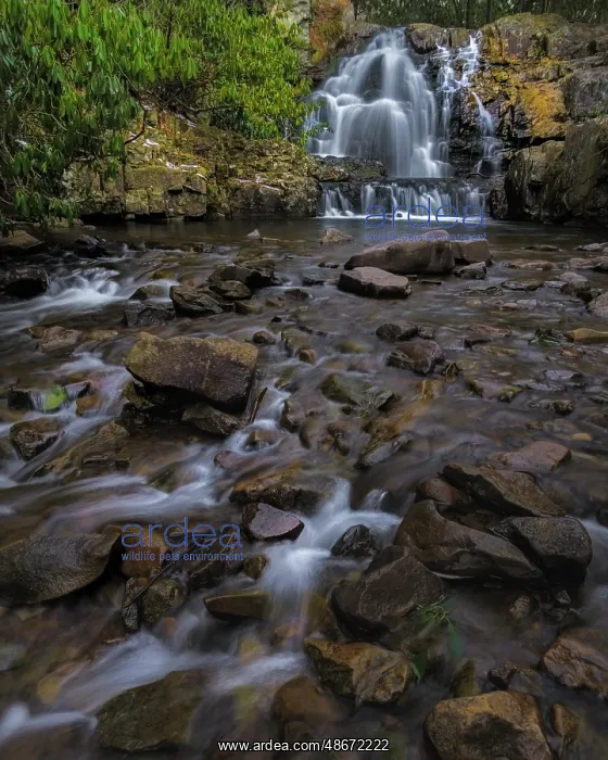 : USA, Pennsylvania, Hickory Run State Park. Waterfall and : USA, Pennsylvania, Hickory Run State Park. Waterfall and