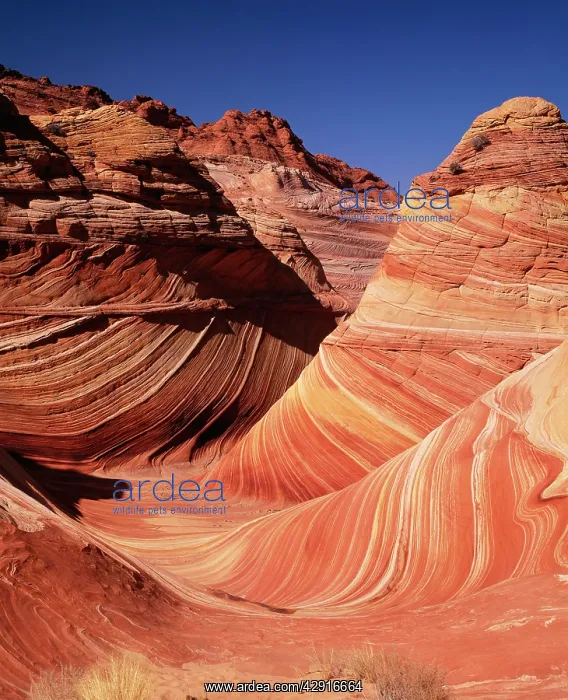 : USA - Plateau cross-bedded navajo sandstone. Utah, Colorado : USA - Plateau cross-bedded navajo sandstone. Utah, Colorado