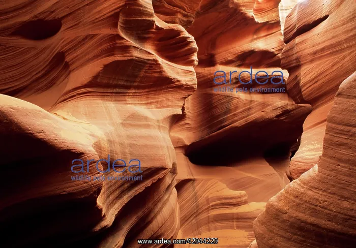 : USA - sandstone formation : USA - sandstone formation