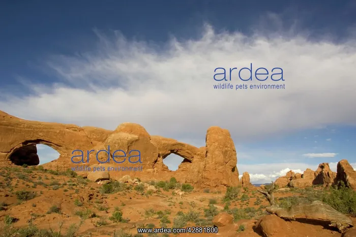  : USA - The sandstone rock sculpture of North Window