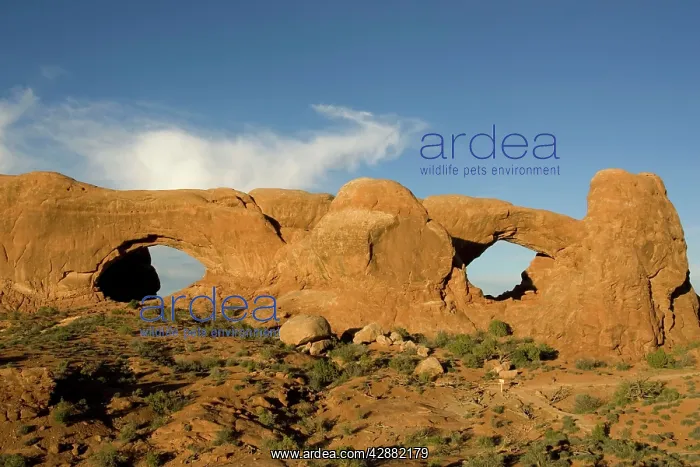 : USA - The sandstone rock sculpture of North Window : USA - The sandstone rock sculpture of North Window