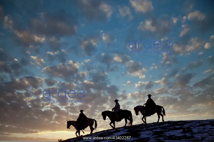 : USA, Shell, Wyoming. Hideout Ranch cowboys and cowgirls : USA, Shell, Wyoming. Hideout Ranch cowboys and cowgirls