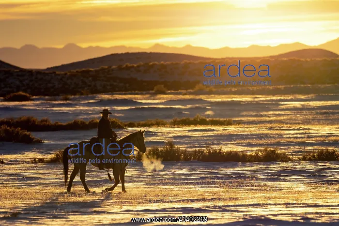: USA, Shell, Wyoming. Hideout Ranch sunset and silhouetted : USA, Shell, Wyoming. Hideout Ranch sunset and silhouetted