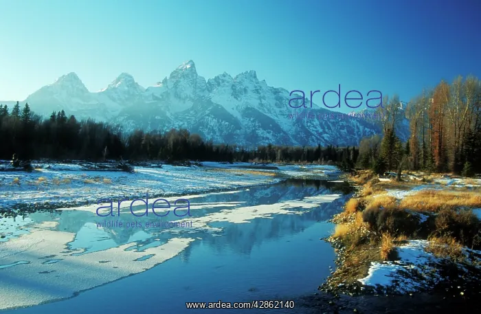 : USA - Snake River with Wyoming, The Rocky Mountains : USA - Snake River with Wyoming, The Rocky Mountains