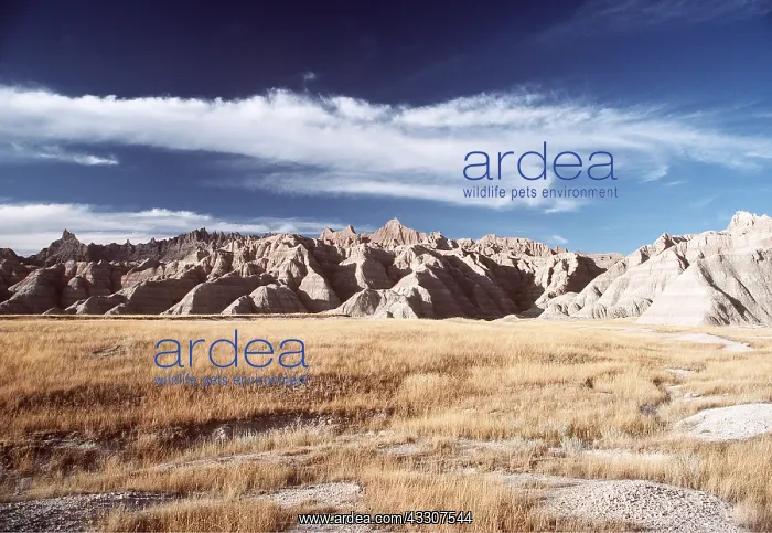 : USA, South DAKOTA - Badlands National Park : USA, South DAKOTA - Badlands National Park