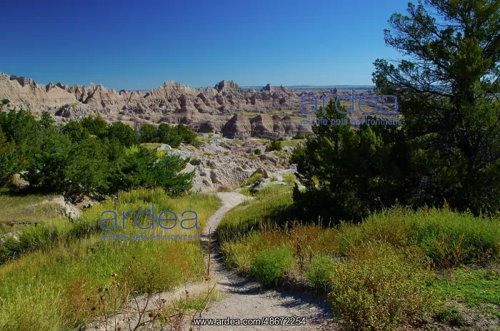 : USA, South Dakota. Badlands National Park, Cedar Pass : USA, South Dakota. Badlands National Park, Cedar Pass