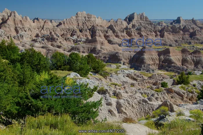 : USA, South Dakota. Badlands National Park, Cedar Pass : USA, South Dakota. Badlands National Park, Cedar Pass