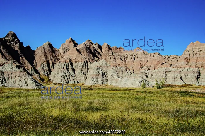 : USA, South Dakota. Badlands National Park, Prairie Wind : USA, South Dakota. Badlands National Park, Prairie Wind