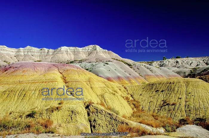 : USA, South Dakota. Badlands National Park, Yellow Mounds : USA, South Dakota. Badlands National Park, Yellow Mounds