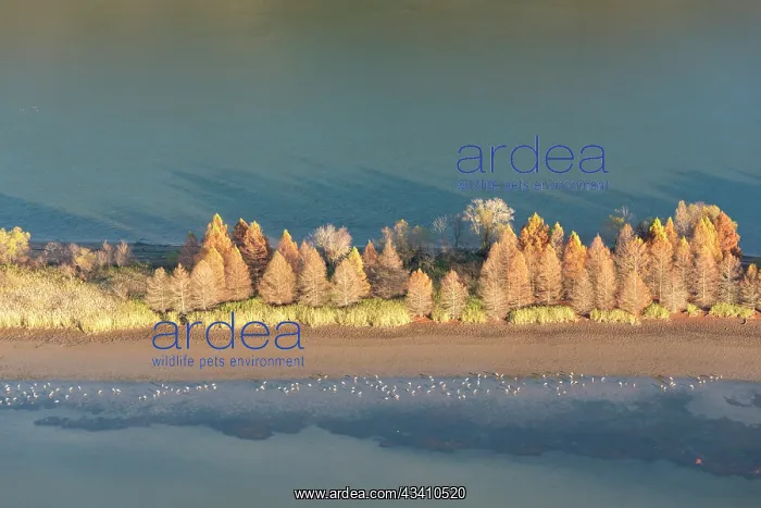 : USA, Tennessee. Evening light Tennessee River, Hiwassee : USA, Tennessee. Evening light Tennessee River, Hiwassee