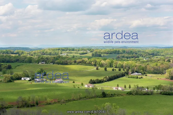: USA, Tennessee. Glorious spring landscape rolling : USA, Tennessee. Glorious spring landscape rolling