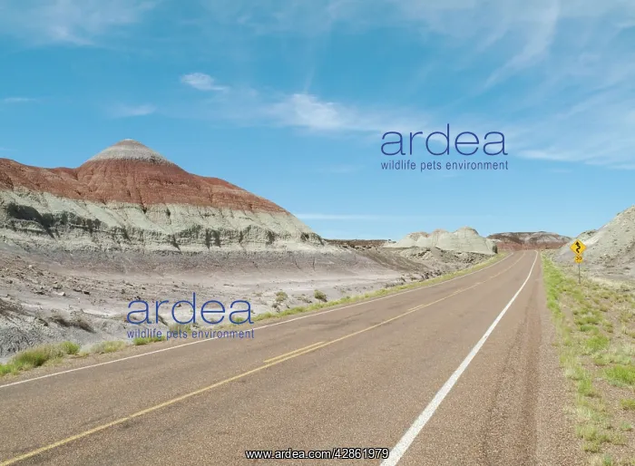 : USA - The Tepees (on the left) are cone-shaped : USA - The Tepees (on the left) are cone-shaped