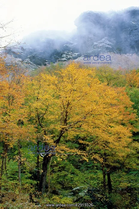 : USA - unusually early snow in the fall : USA - unusually early snow in the fall