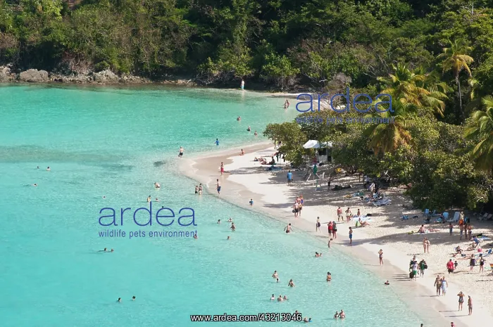 : USA, USVI, St John. Tropical winter getaway : USA, USVI, St John. Tropical winter getaway
