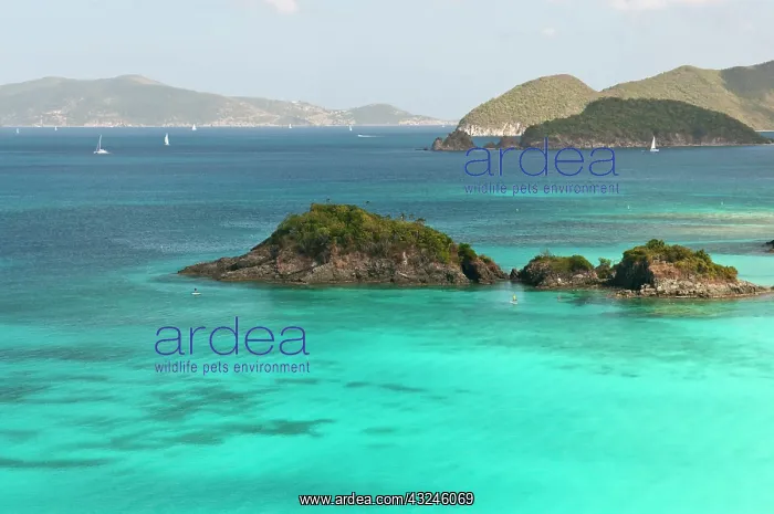: USA, USVI, St John. Tropical winter getaway : USA, USVI, St John. Tropical winter getaway