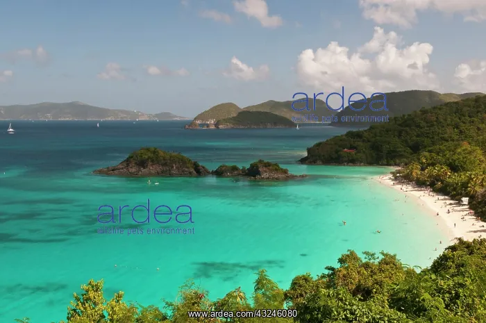 : USA, USVI, St John. Tropical winter getaway : USA, USVI, St John. Tropical winter getaway