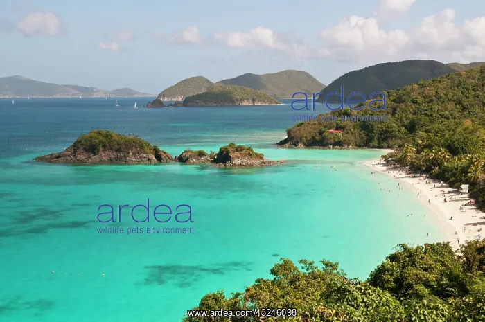 : USA, USVI, St John. Tropical winter getaway : USA, USVI, St John. Tropical winter getaway