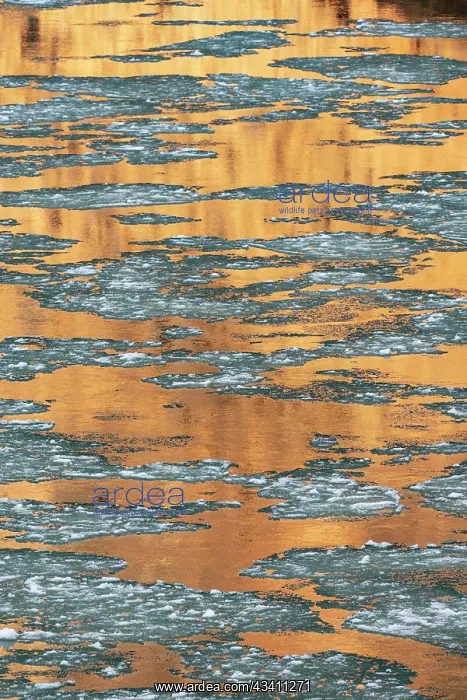 : USA, Utah. Abstract design, reflections of canyon : USA, Utah. Abstract design, reflections of canyon