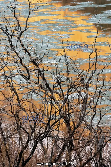 : USA, Utah. Abstract design, reflections of canyon : USA, Utah. Abstract design, reflections of canyon