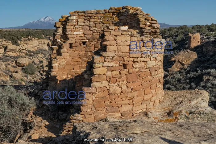 : USA, Utah. Ancient ruin along the Little Ruin Trail : USA, Utah. Ancient ruin along the Little Ruin Trail