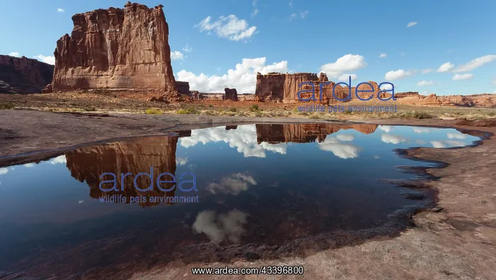 : USA, Utah, Arches National Park. A sandstone tower : USA, Utah, Arches National Park. A sandstone tower