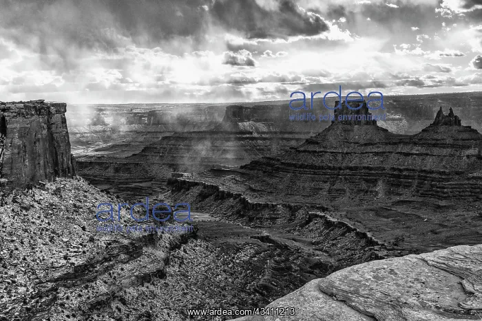 : USA, Utah. Black and white image. Stormy canyons : USA, Utah. Black and white image. Stormy canyons