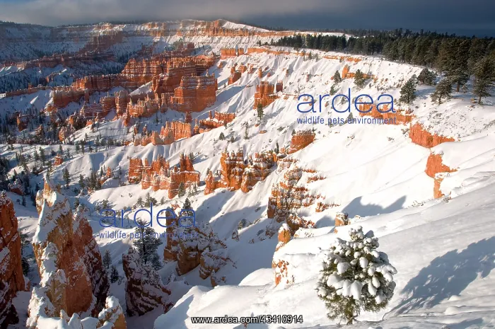 : USA, Utah, Bryce Canyon National Park. Winter sunrise : USA, Utah, Bryce Canyon National Park. Winter sunrise