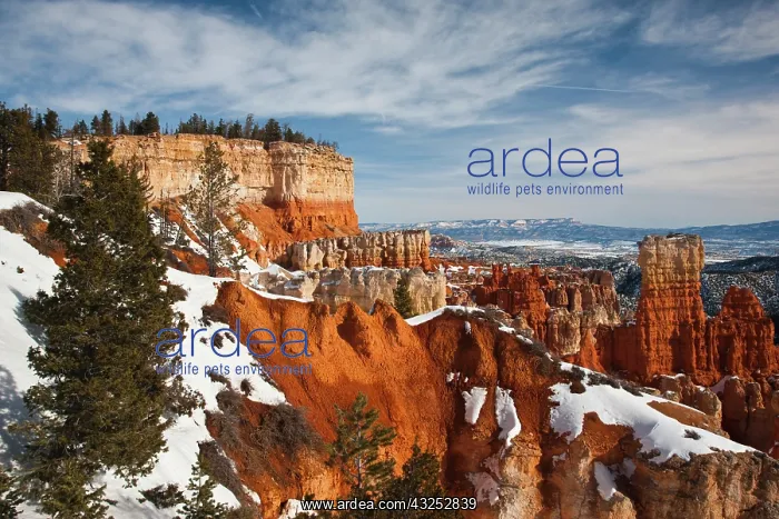 : USA, Utah, Bryce Canyon National Park. Agua : USA, Utah, Bryce Canyon National Park. Agua