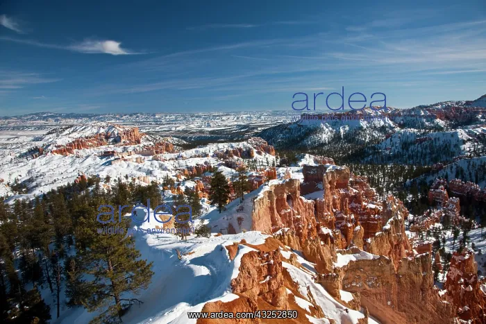 : USA, Utah, Bryce Canyon National Park. Bryce : USA, Utah, Bryce Canyon National Park. Bryce